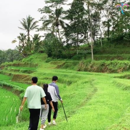 Kegiatan pengabdian kepada masyarakat Mahasiswa Politeknik Pariwisata Bali di Desa Angseri 